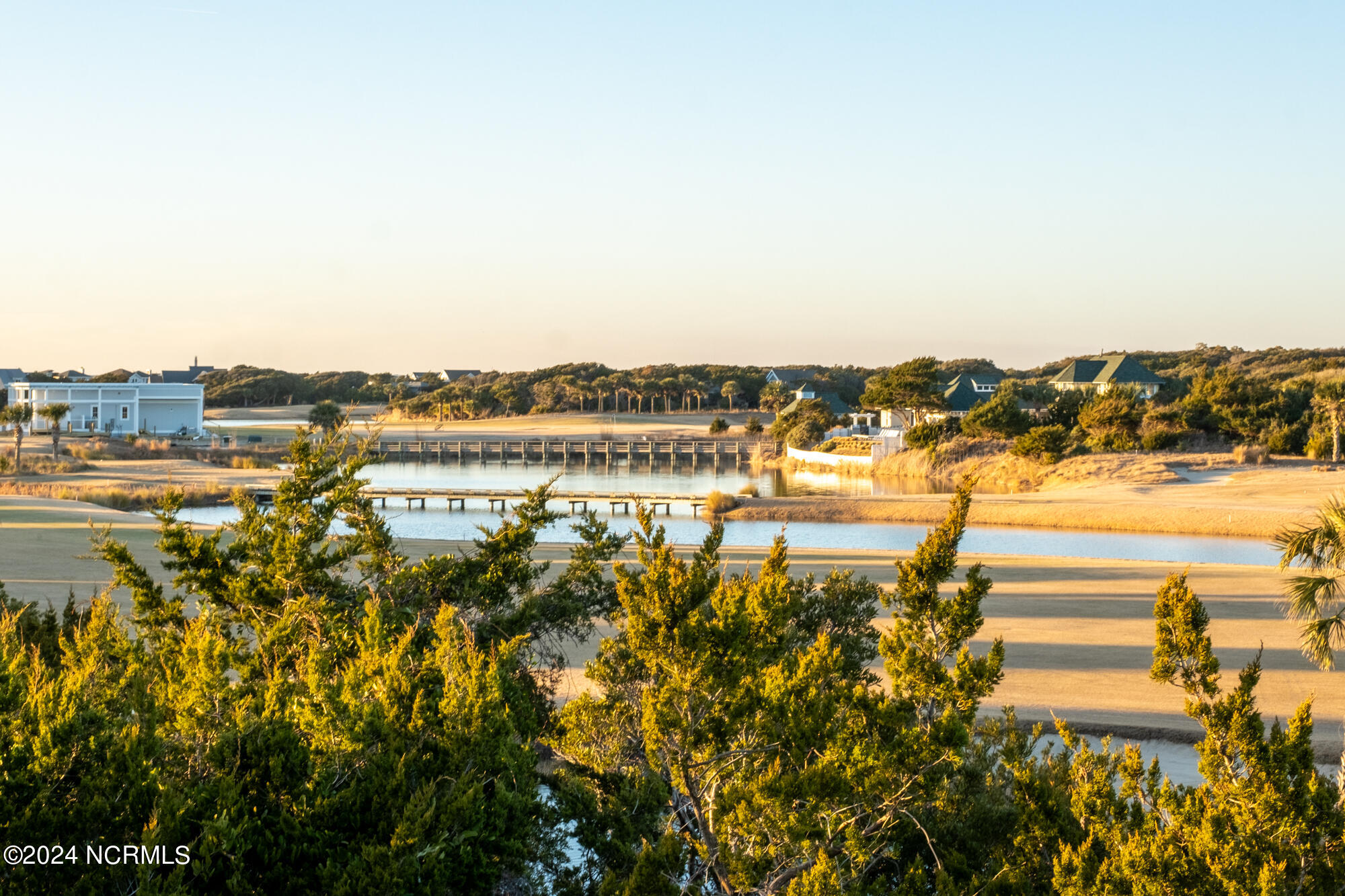 23 Black Skimmer Trail