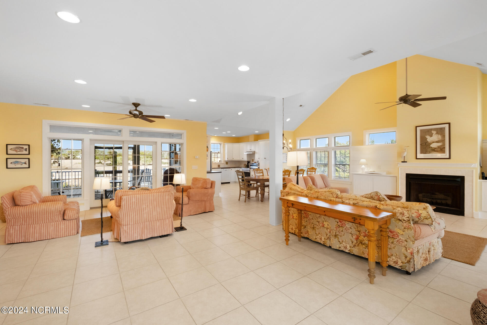 23 Black Skimmer Trail