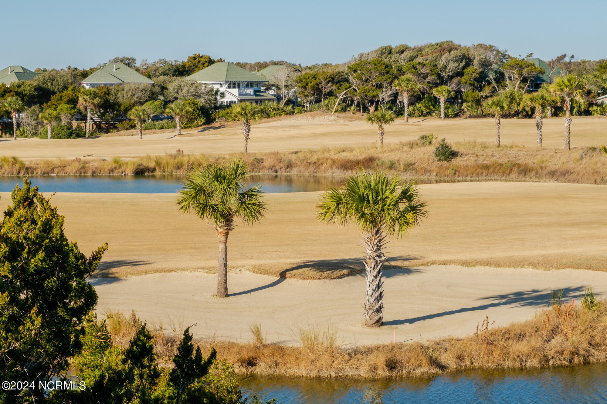 23 Black Skimmer Trail