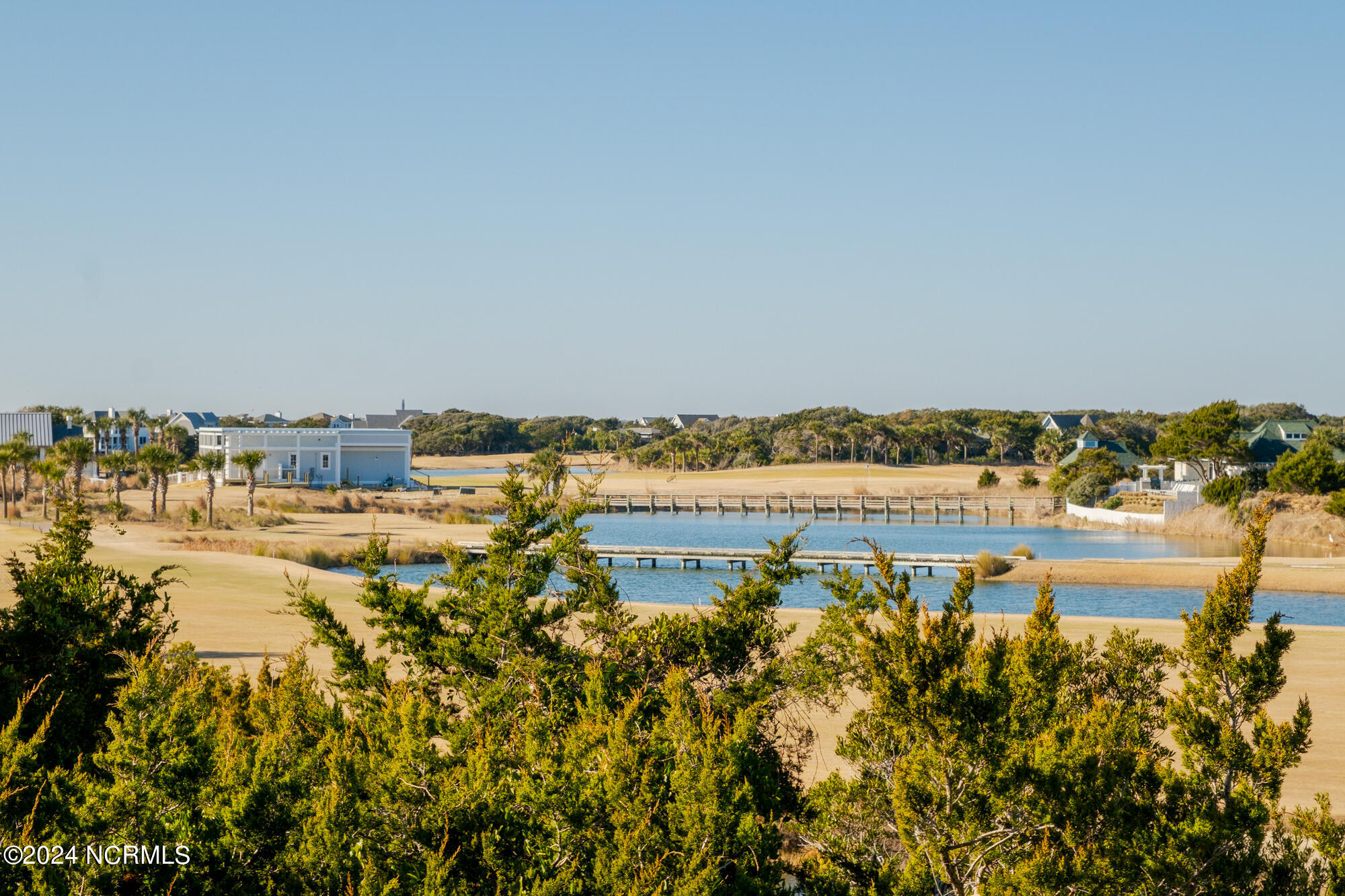 23 Black Skimmer Trail