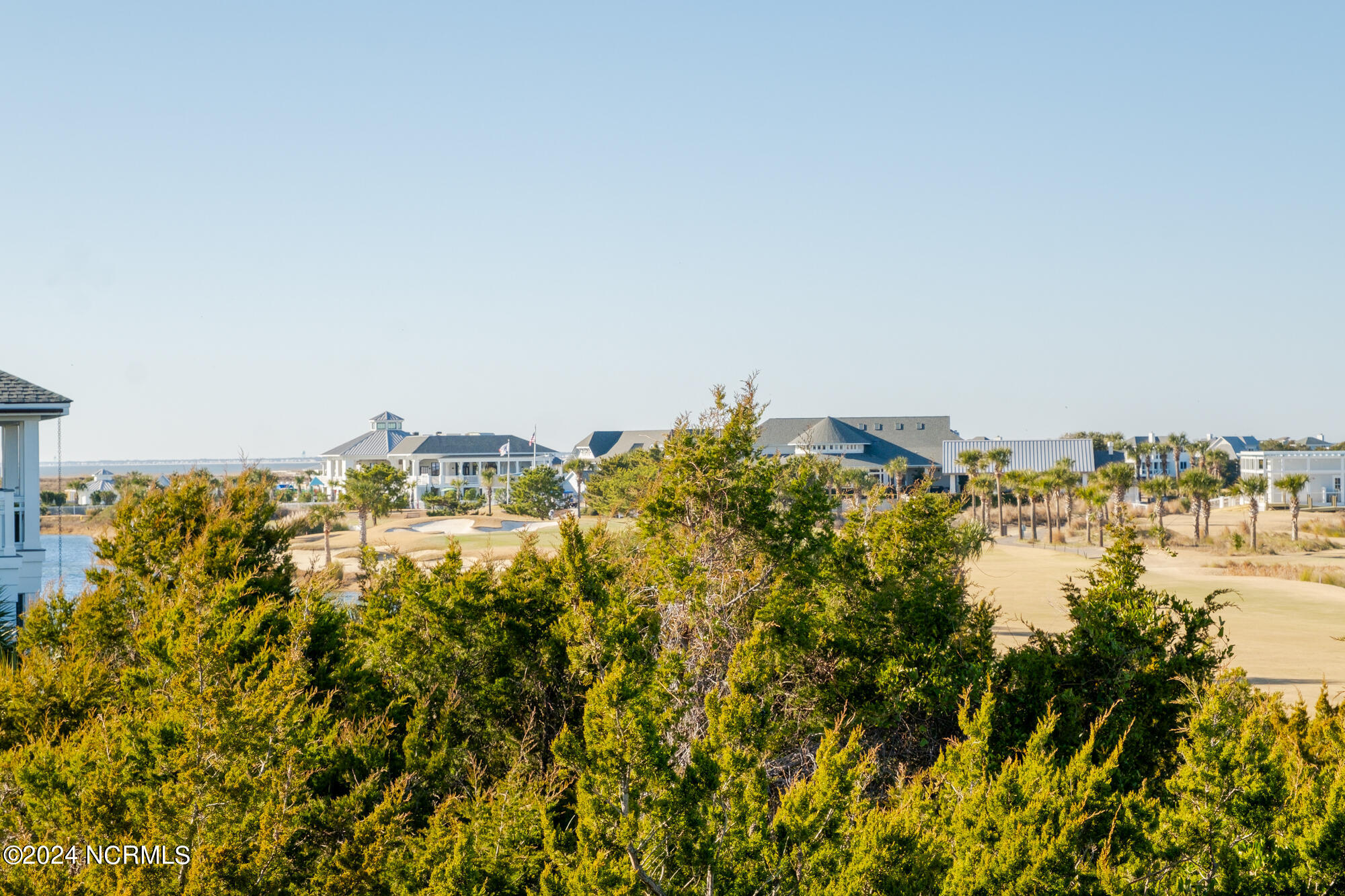 23 Black Skimmer Trail