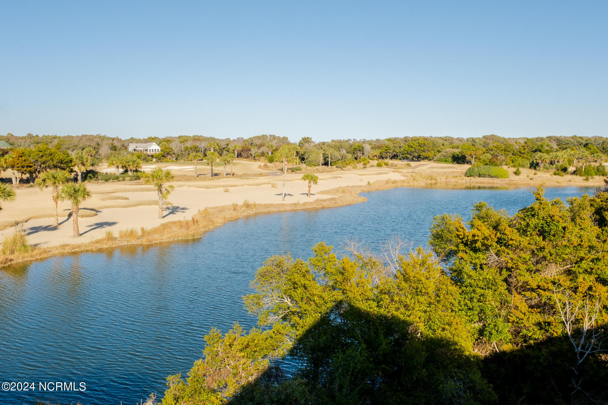 23 Black Skimmer Trail