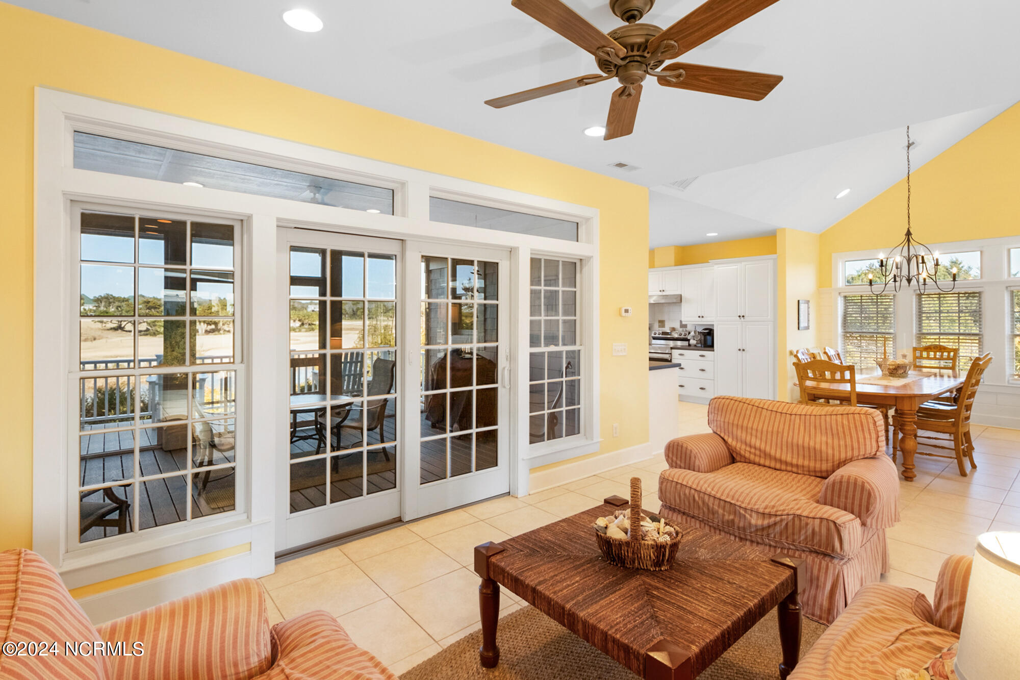 23 Black Skimmer Trail