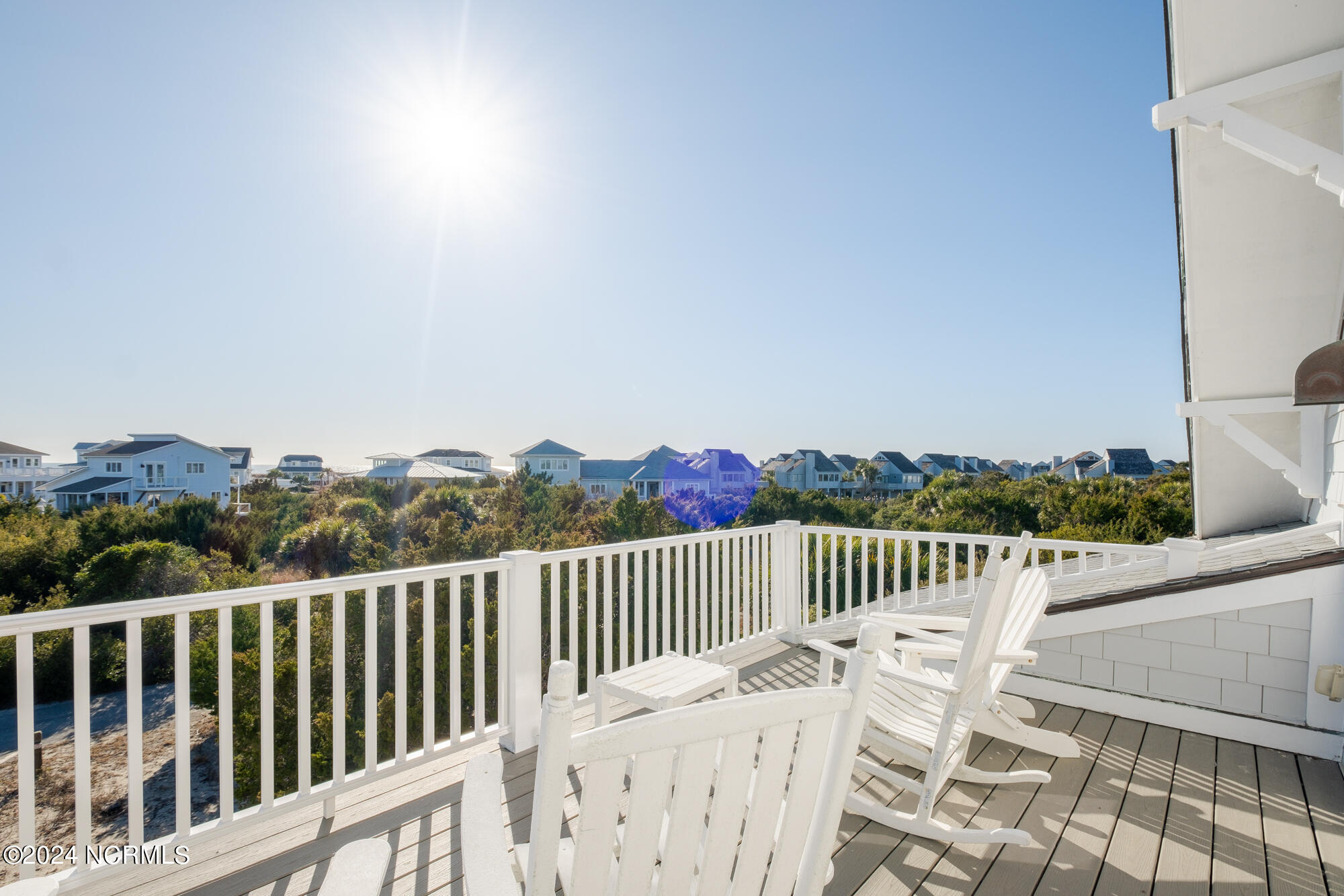 23 Black Skimmer Trail