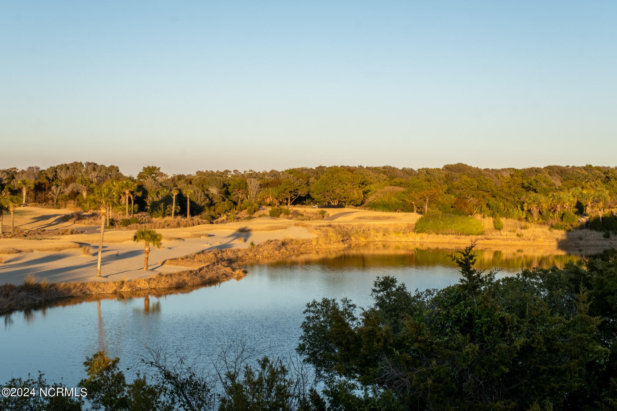 23 Black Skimmer Trail