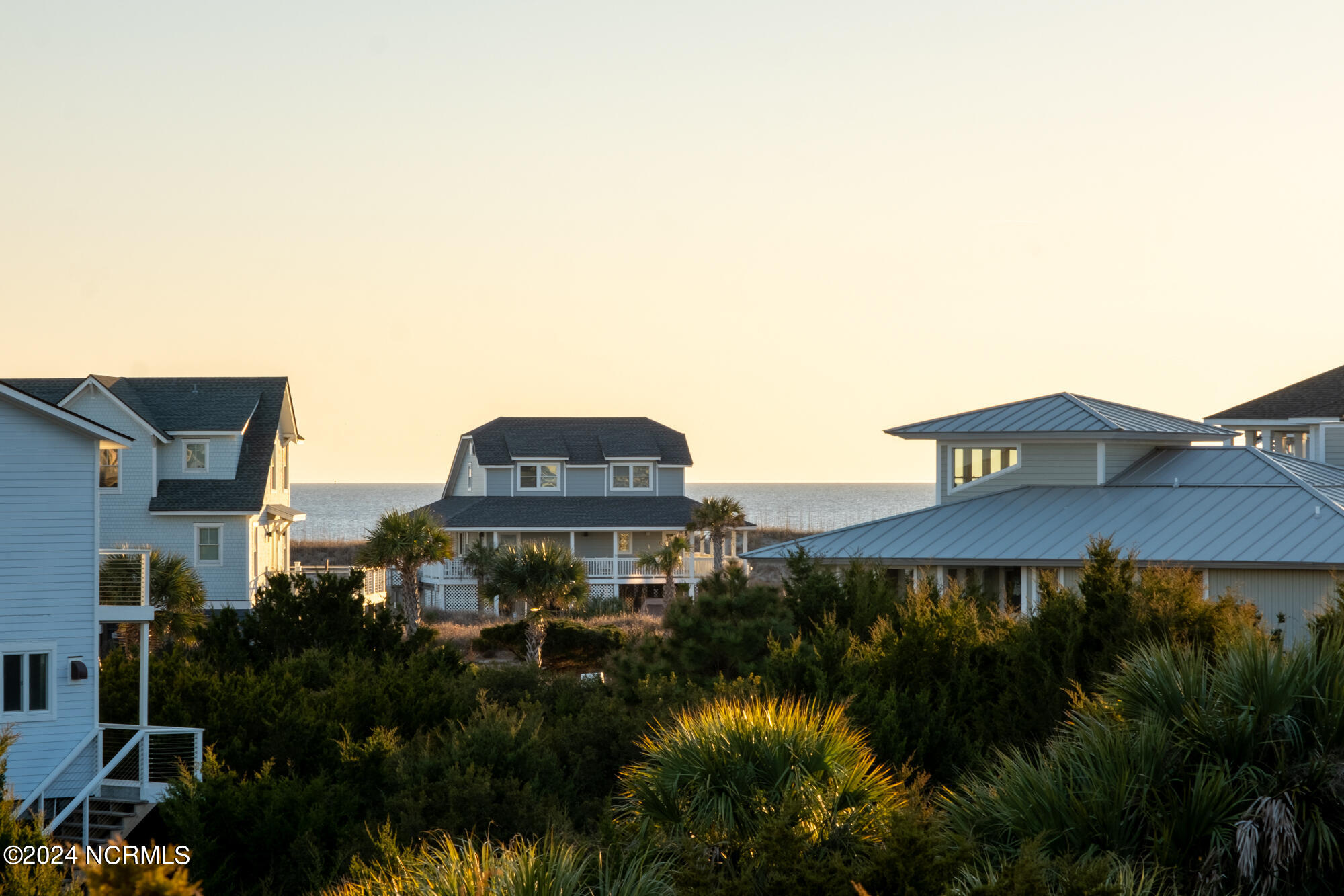 23 Black Skimmer Trail