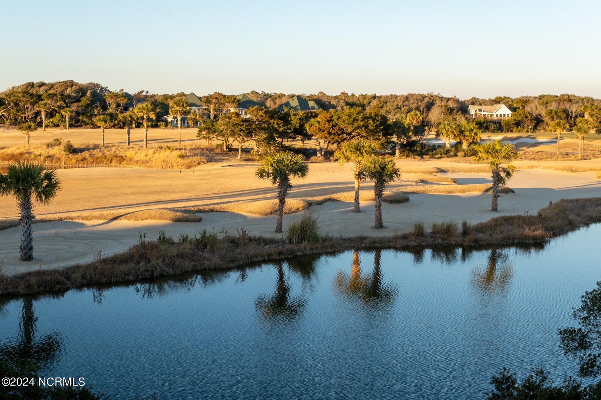 23 Black Skimmer Trail