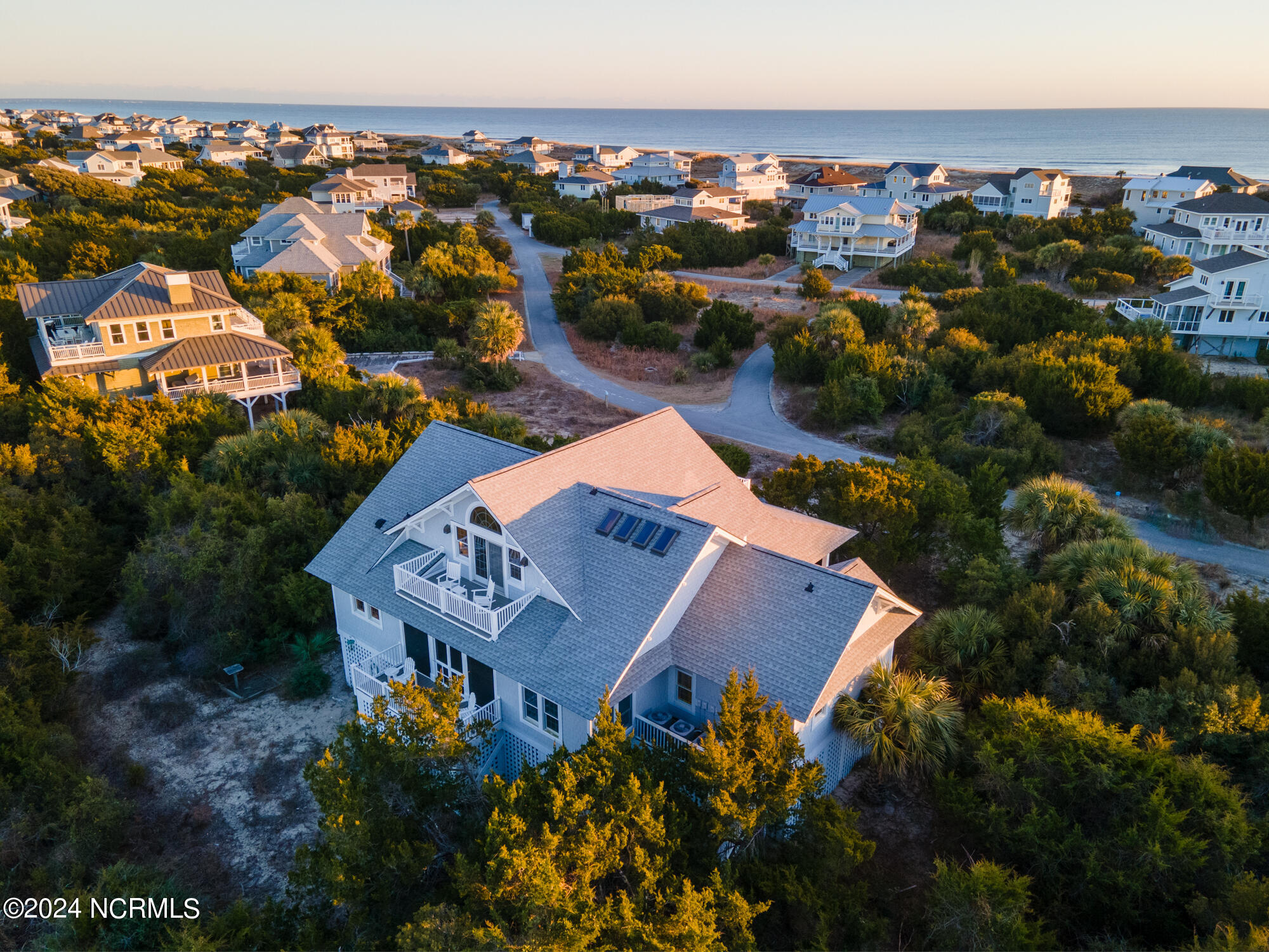 23 Black Skimmer Trail