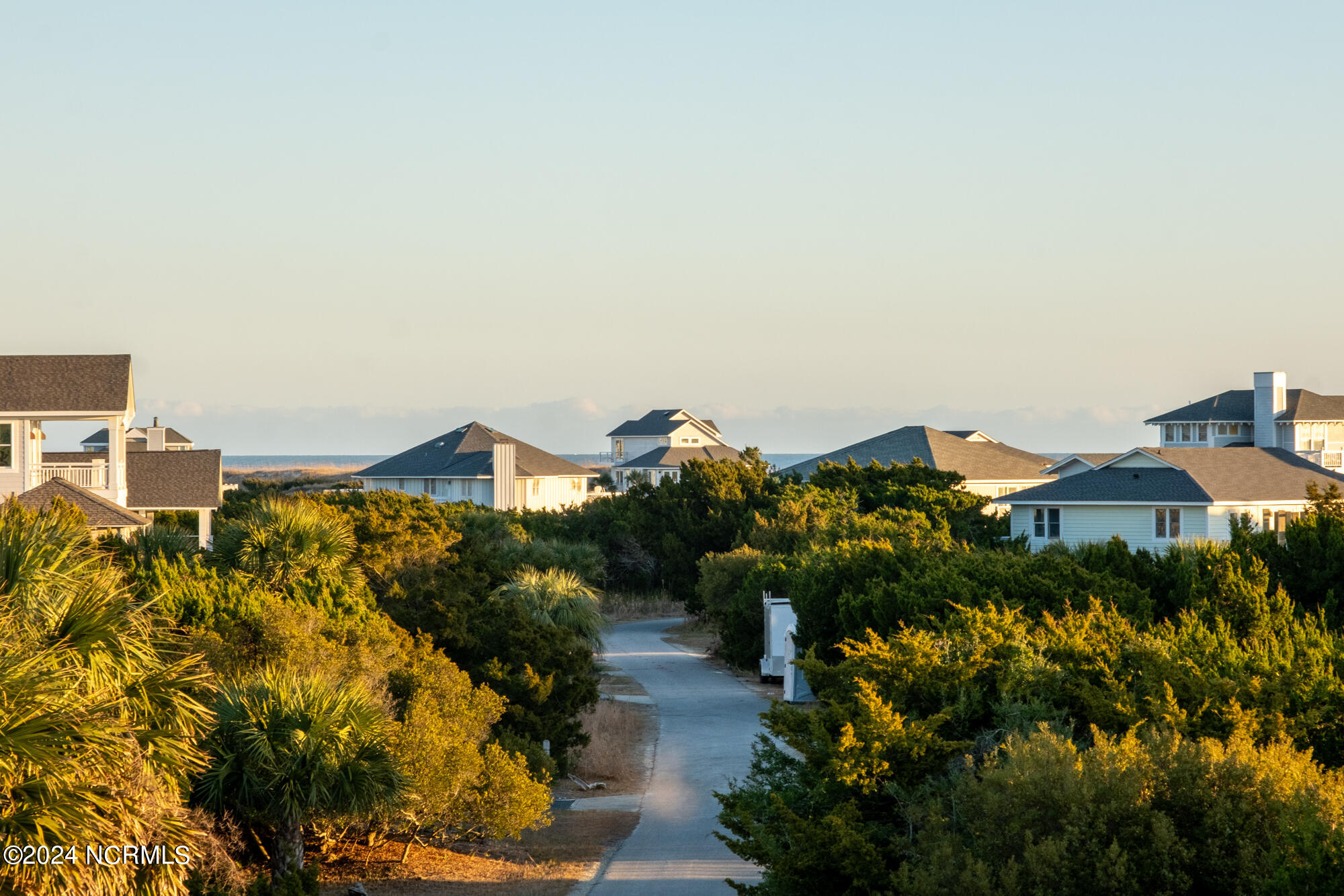 23 Black Skimmer Trail