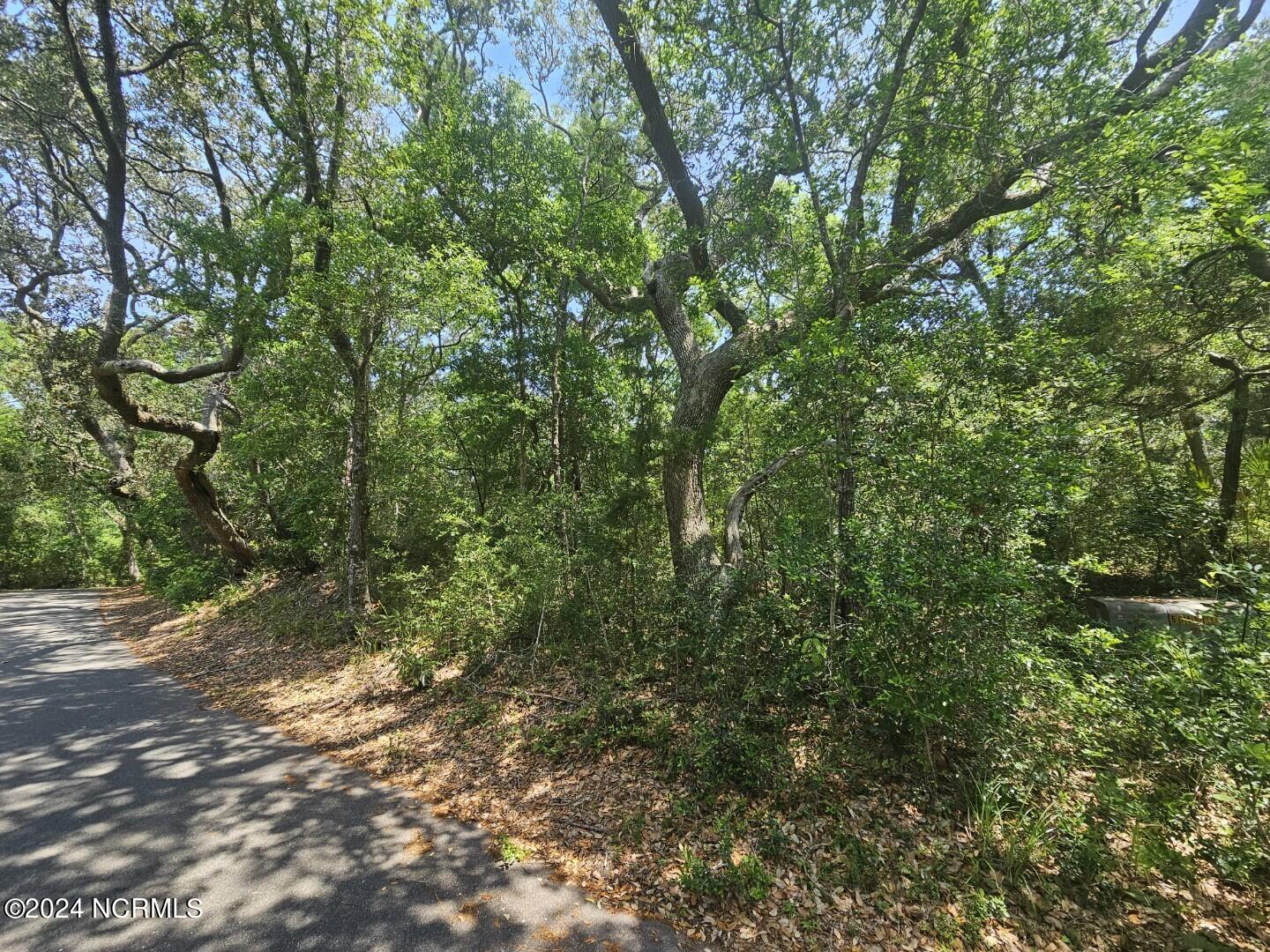 8 Elephants Foot Trail