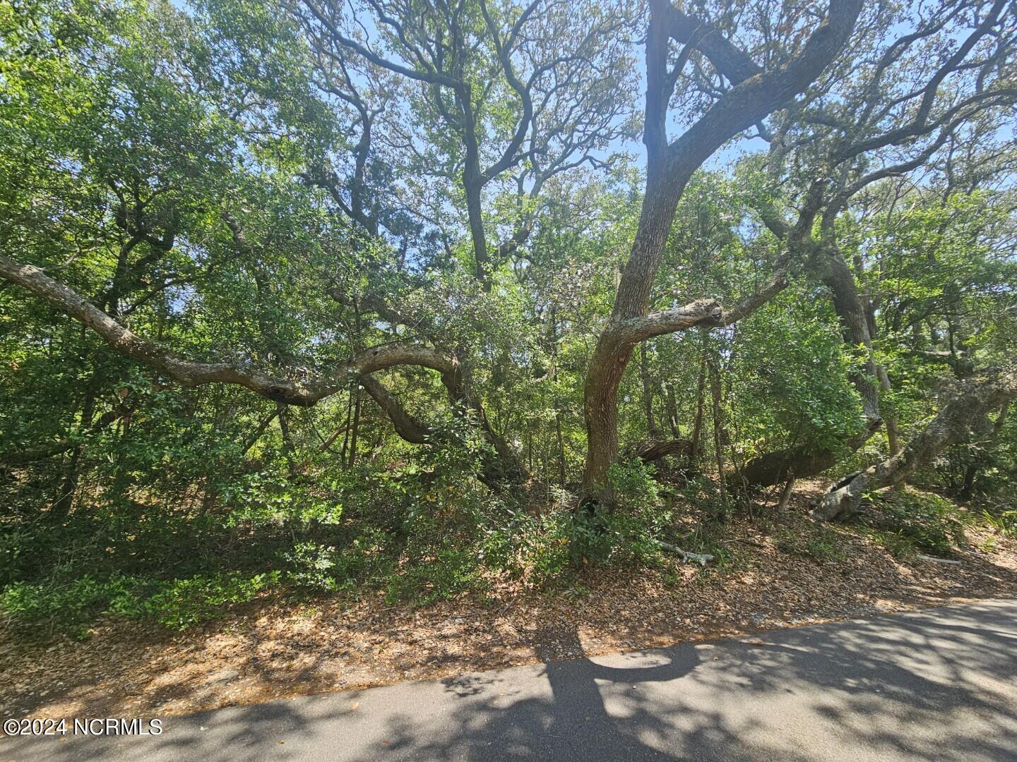 8 Elephants Foot Trail