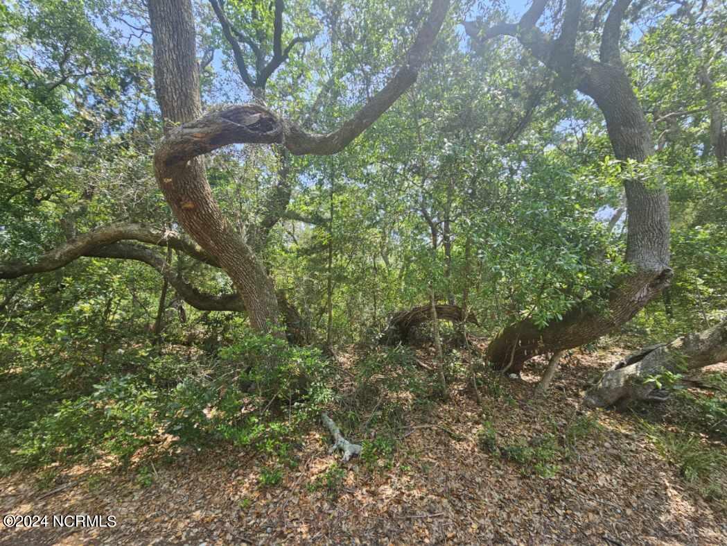 8 Elephants Foot Trail