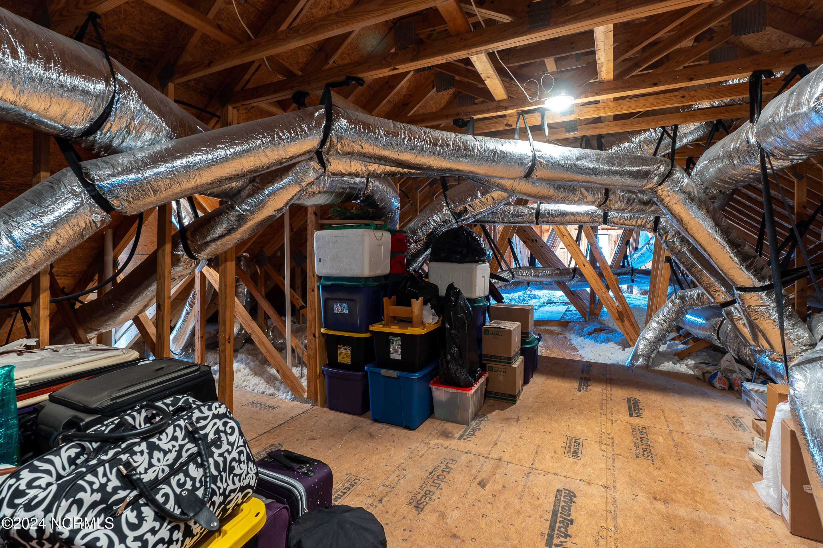 3211 Oceanic Bay Drive