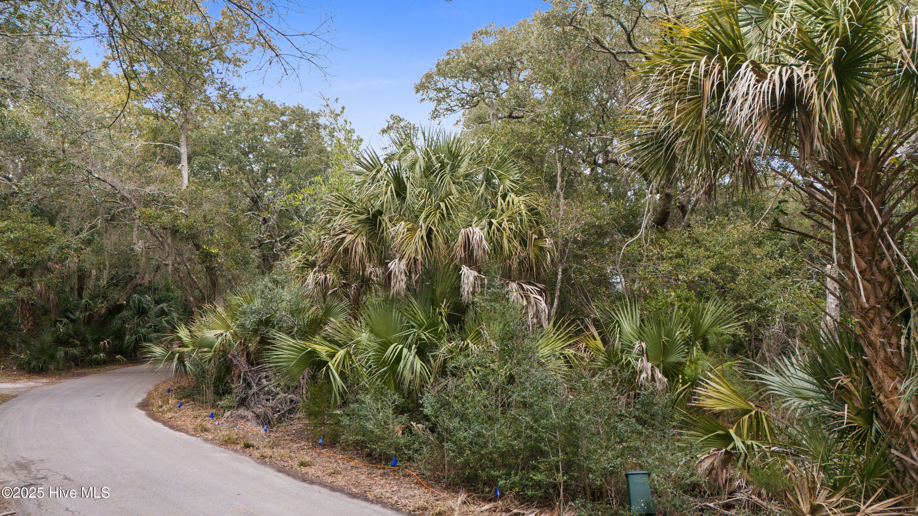 40 323 Dowitcher Trail