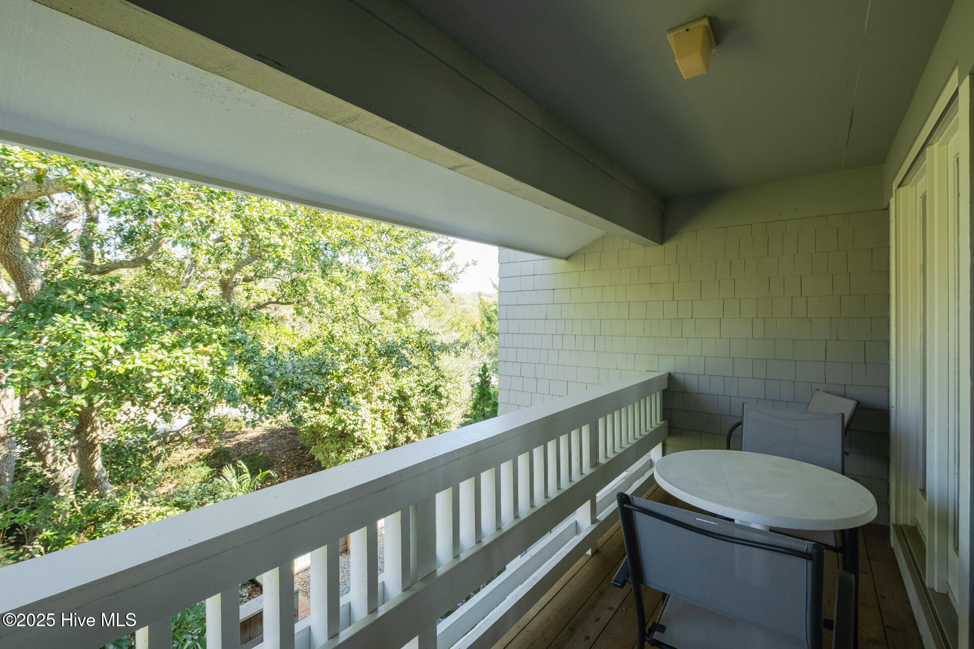 20 Laughing Gull Trail