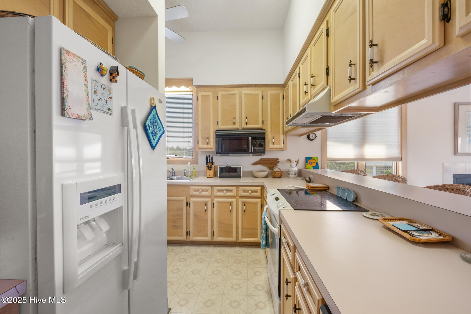 20 Laughing Gull Trail