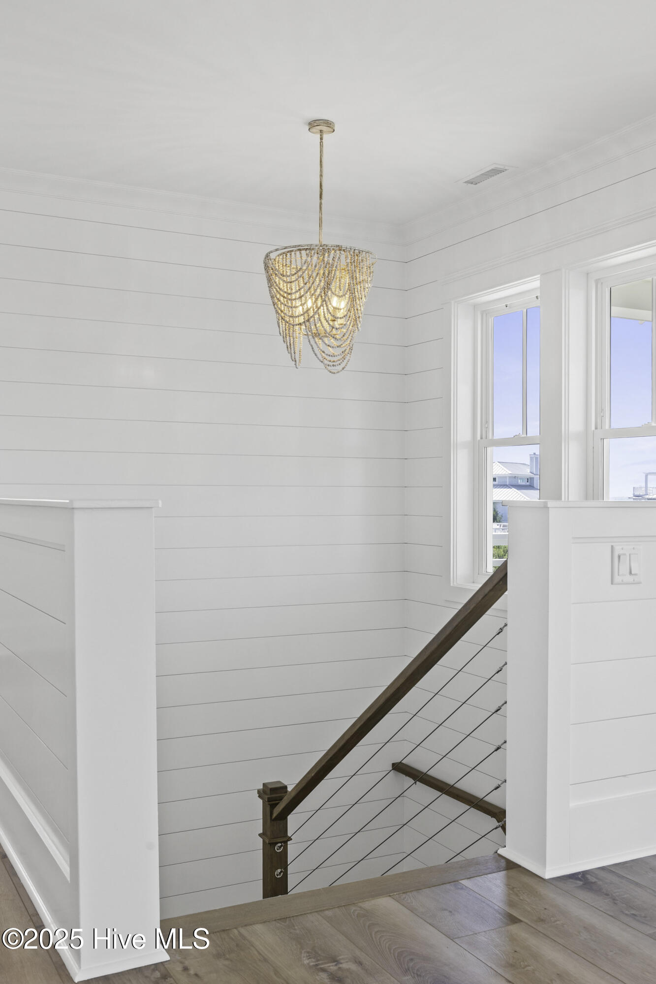 11 Black Skimmer Trail