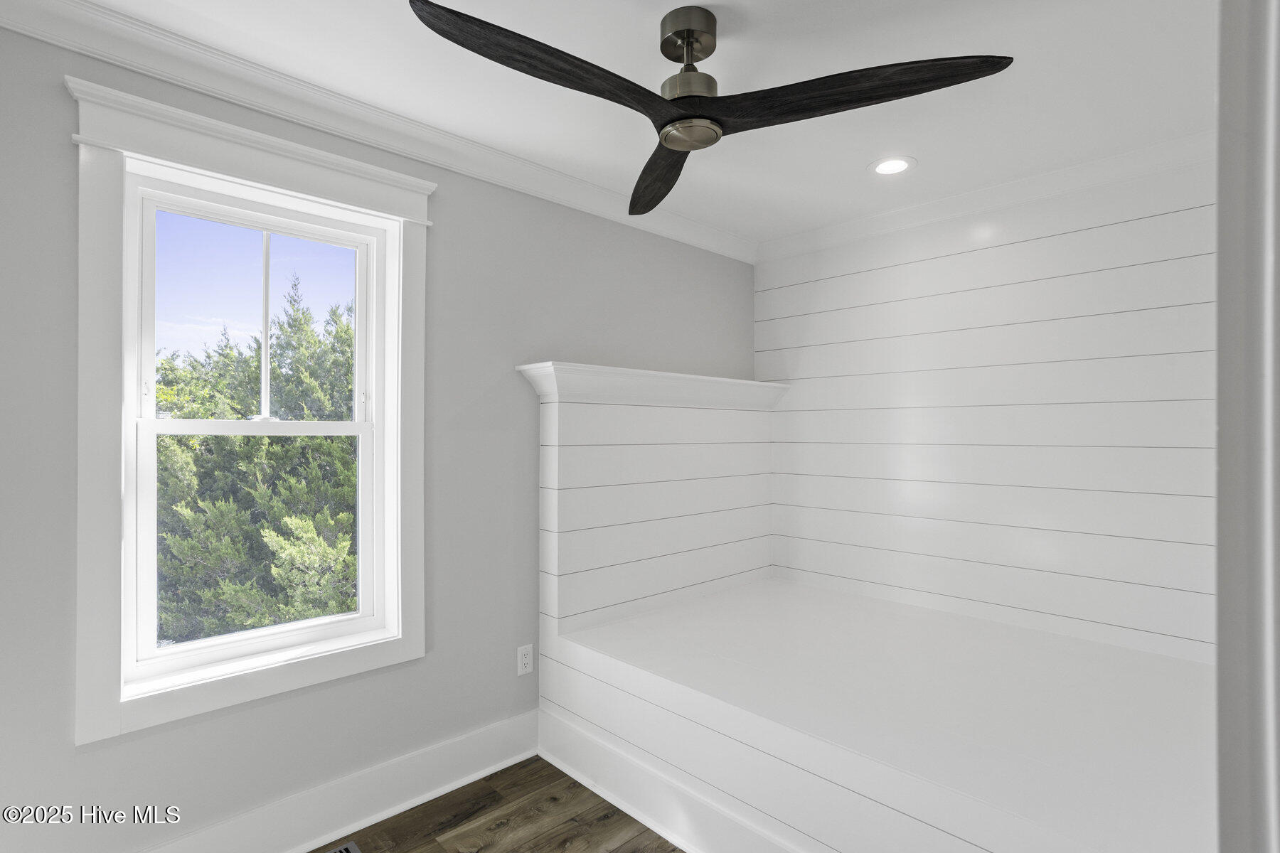 11 Black Skimmer Trail