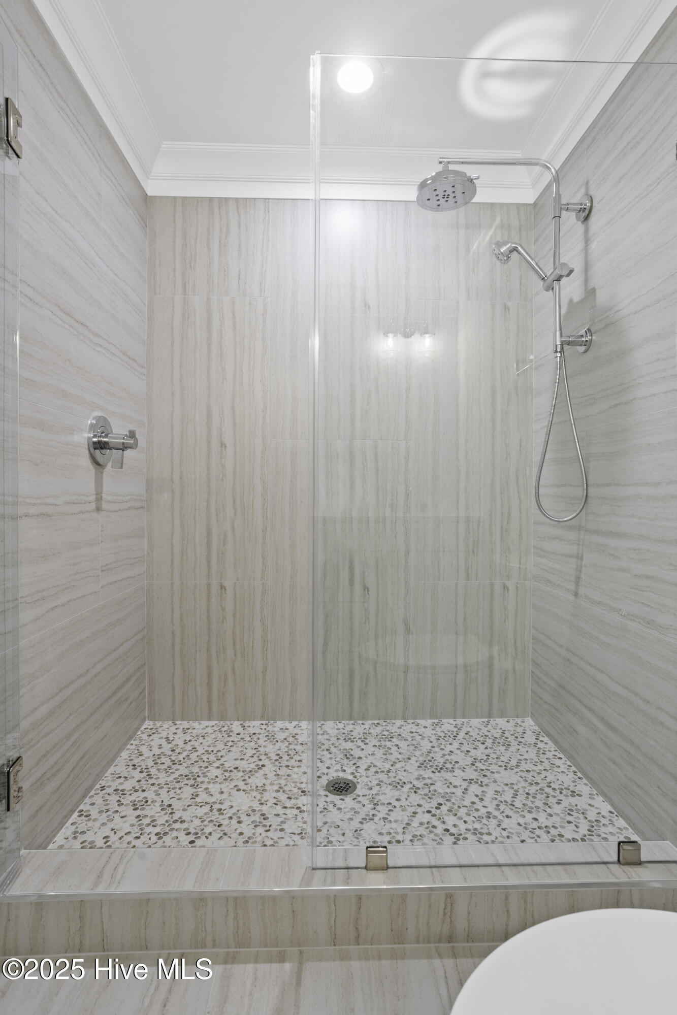 11 Black Skimmer Trail