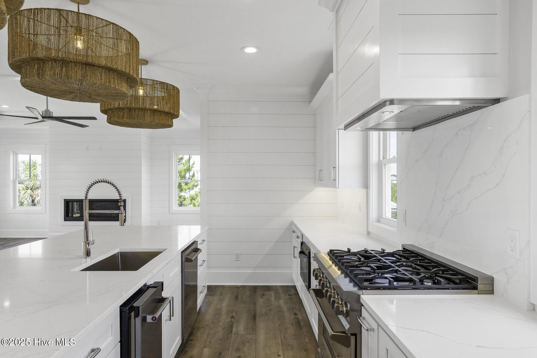 11 Black Skimmer Trail