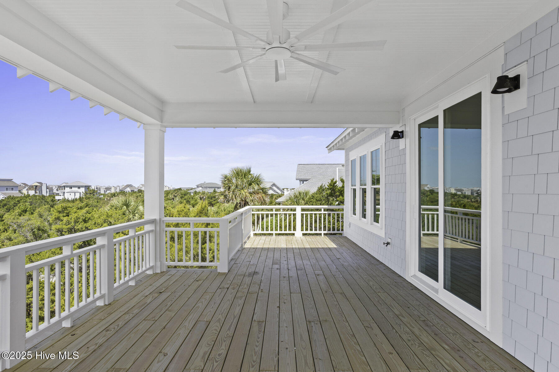 11 Black Skimmer Trail