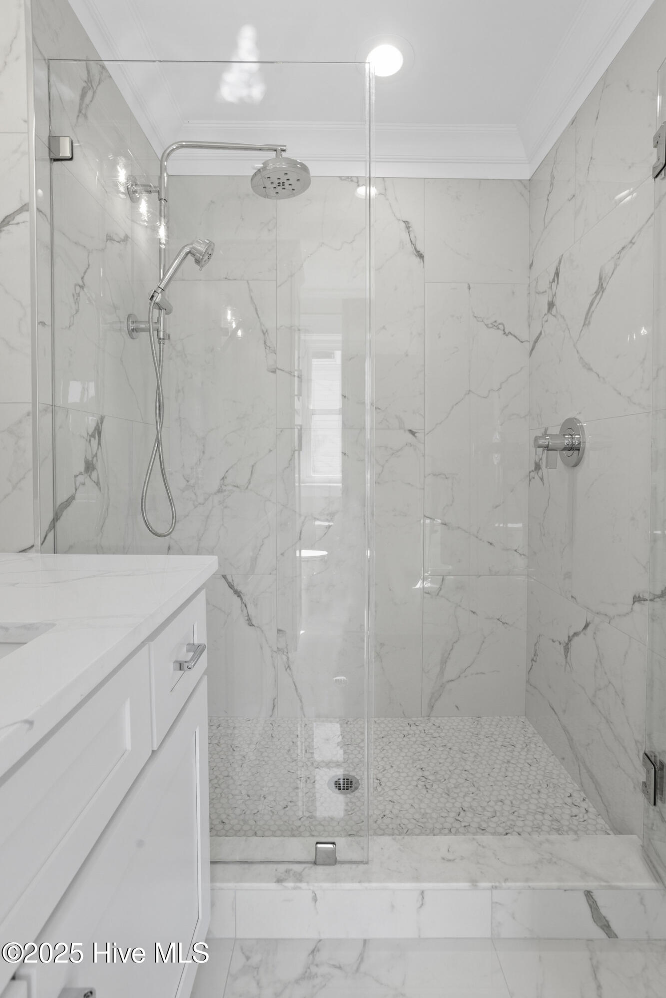 11 Black Skimmer Trail