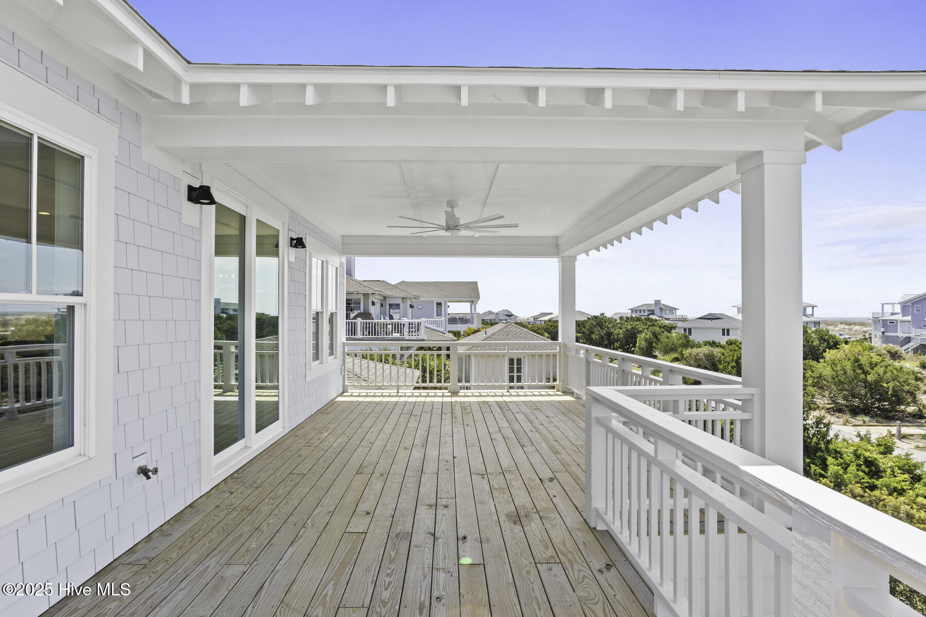 11 Black Skimmer Trail