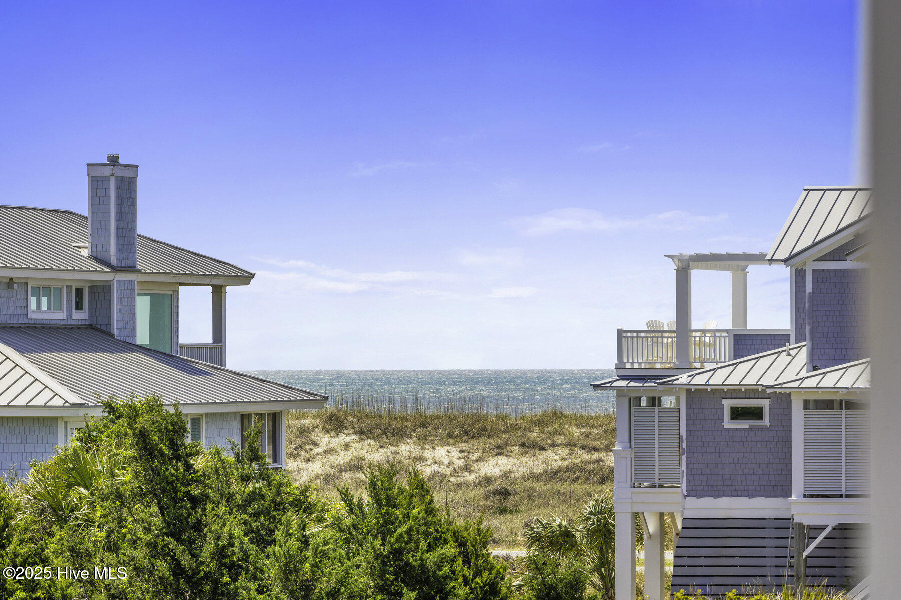 11 Black Skimmer Trail