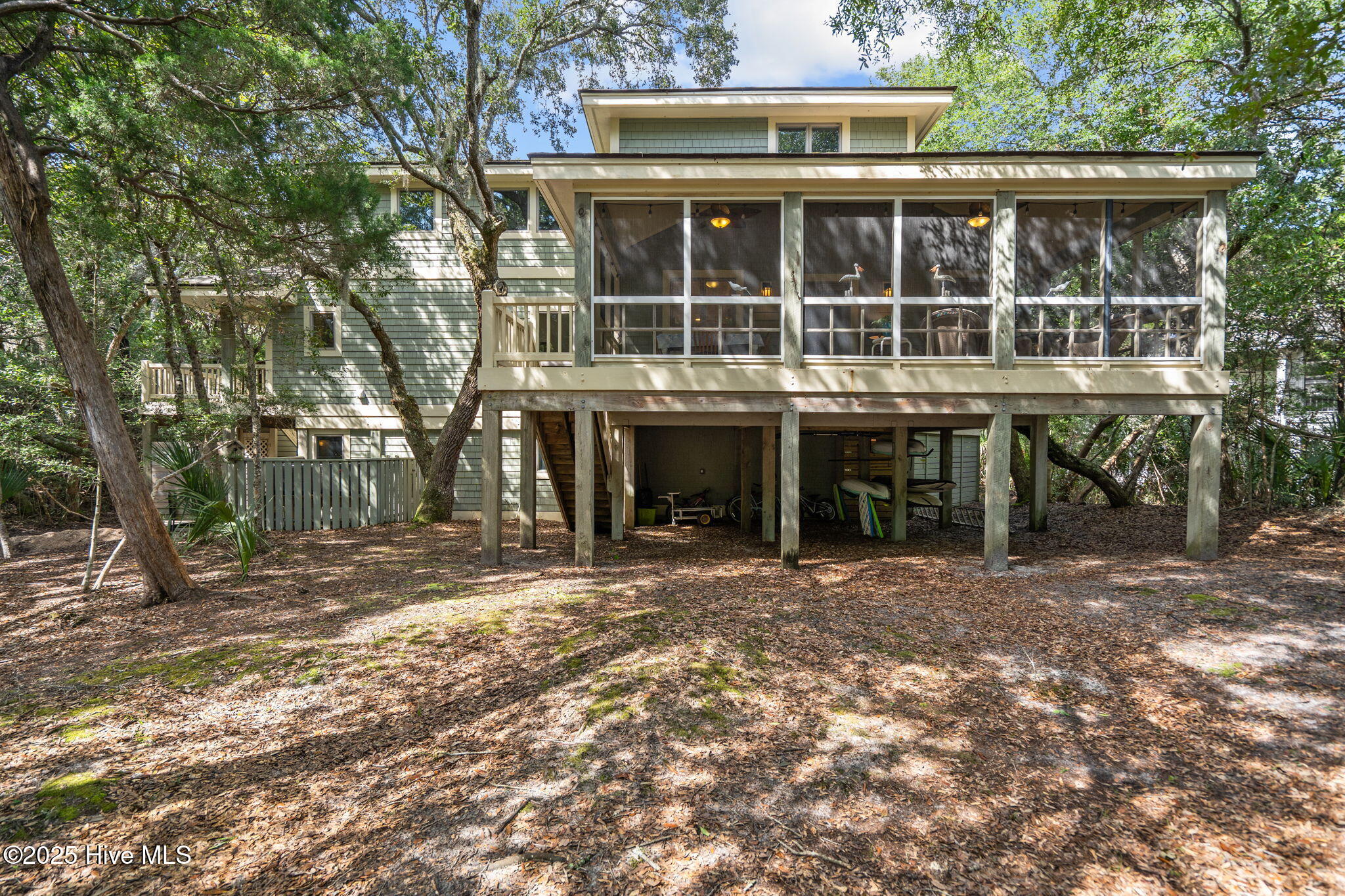 30 Three Flipper Trail