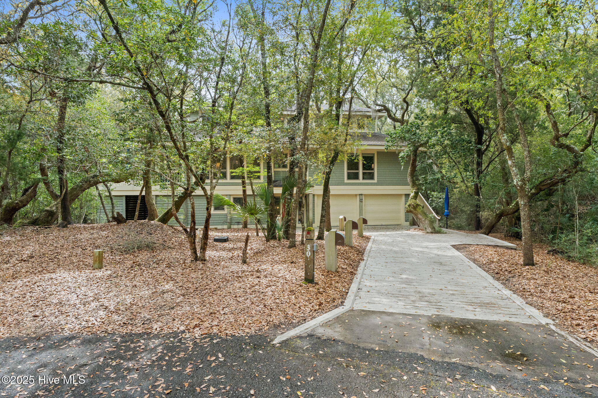 30 Three Flipper Trail