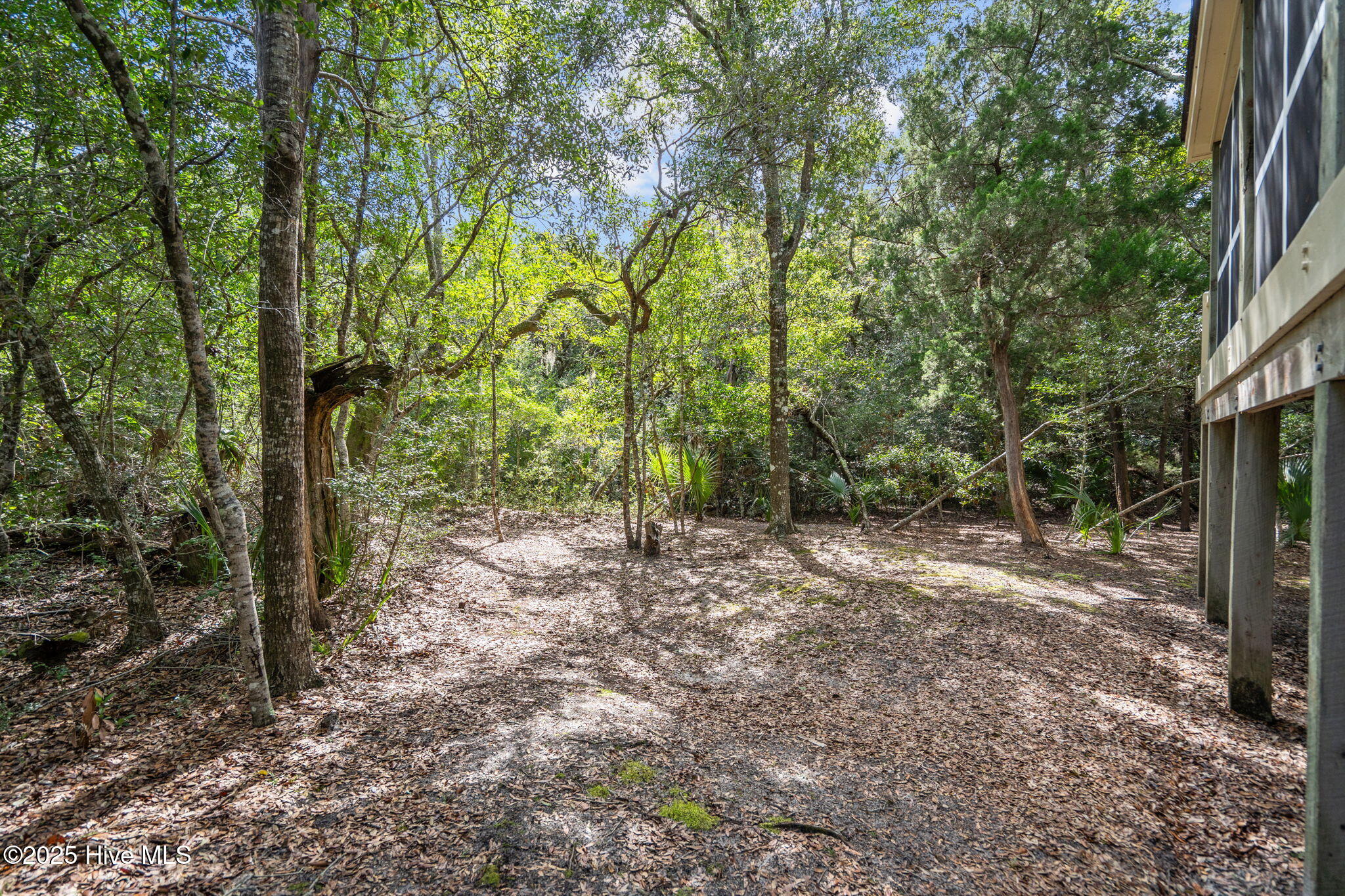 30 Three Flipper Trail