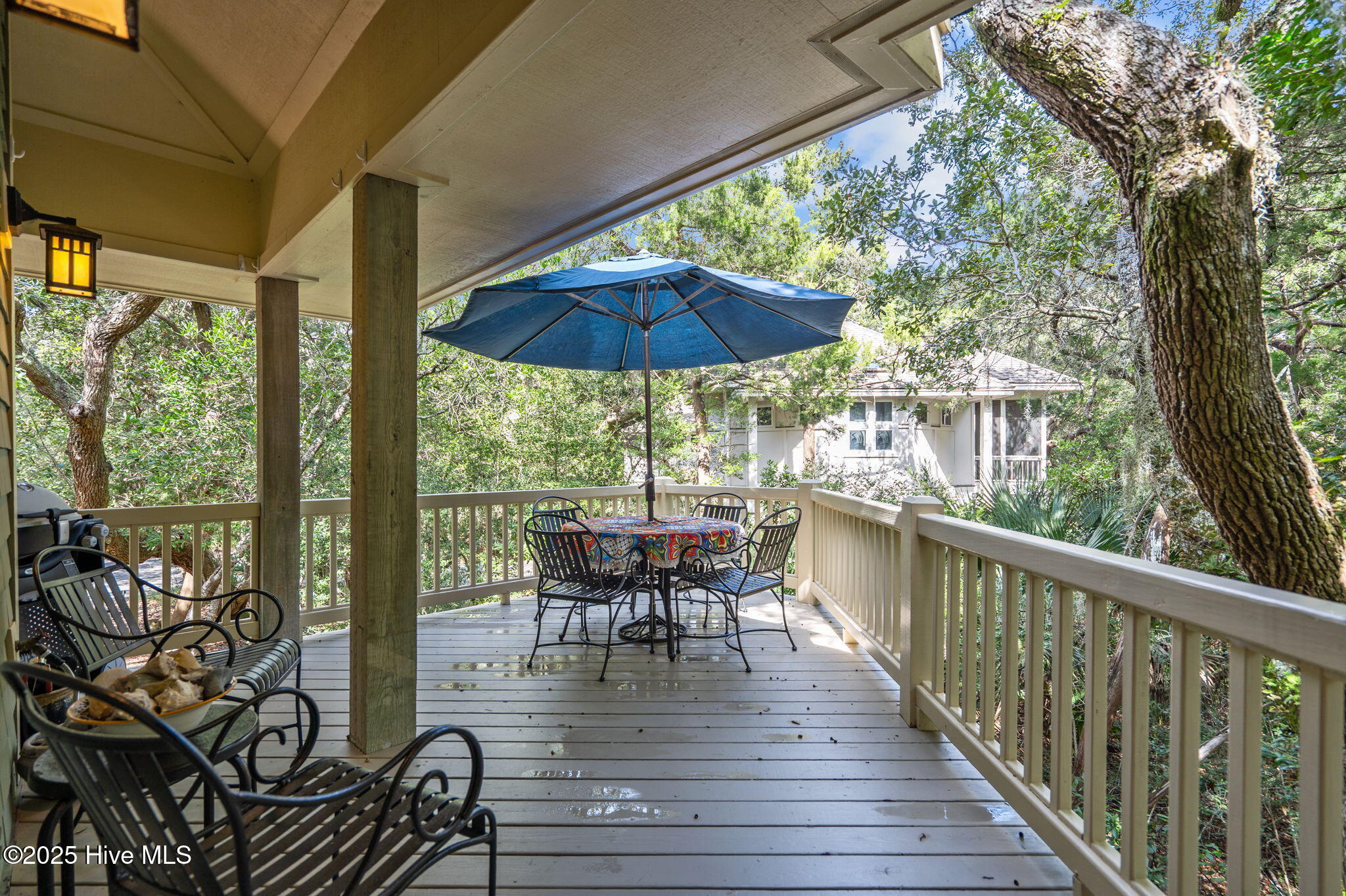 30 Three Flipper Trail