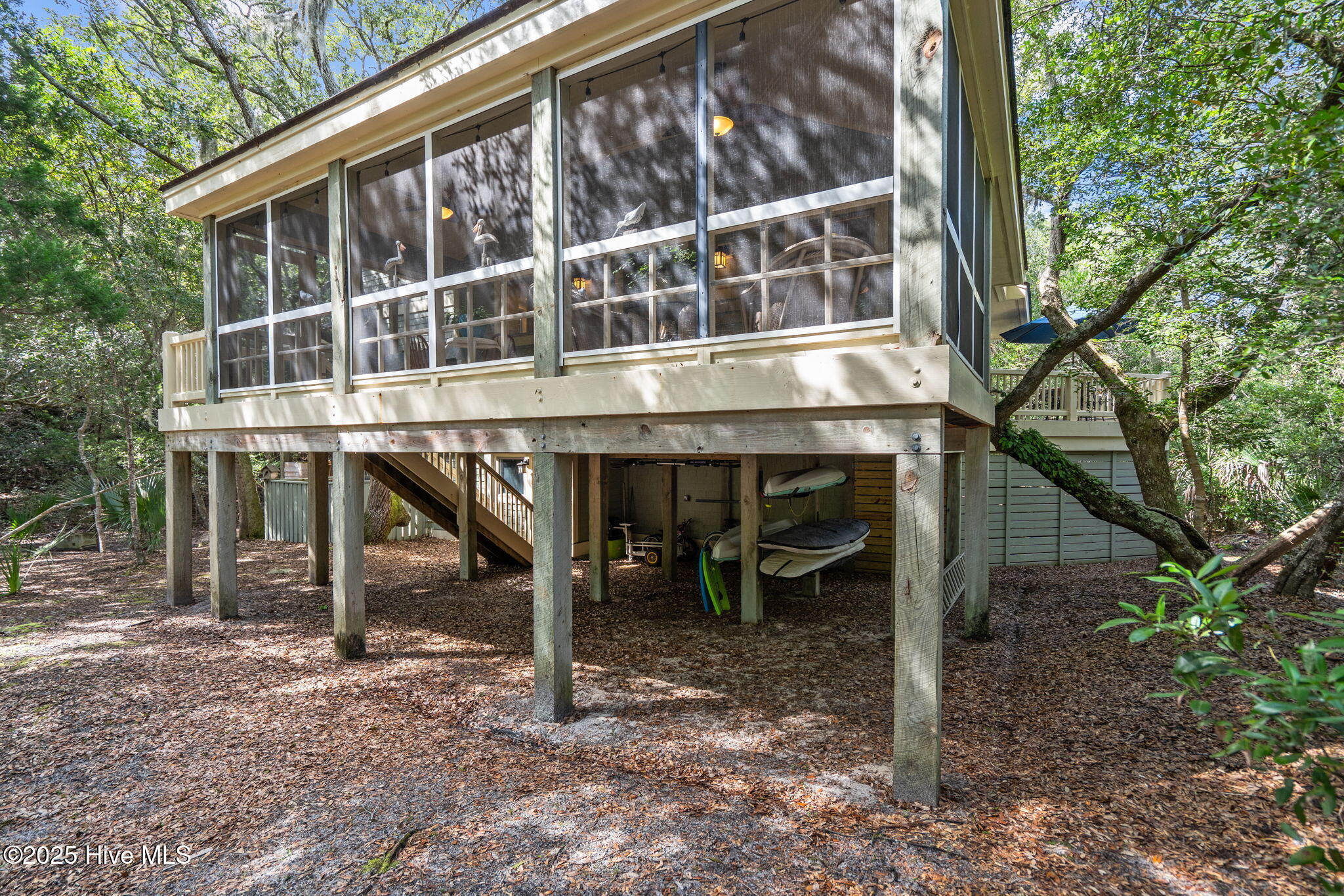 30 Three Flipper Trail