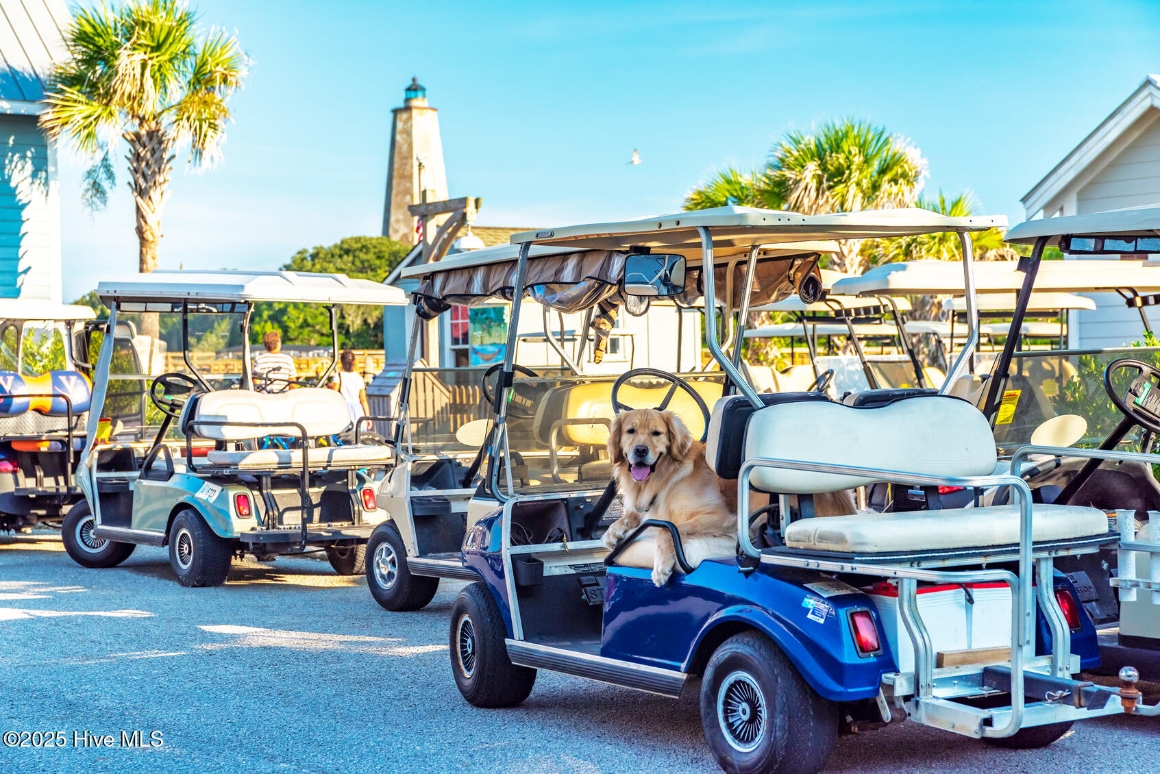 417 S Bald Head Wynd