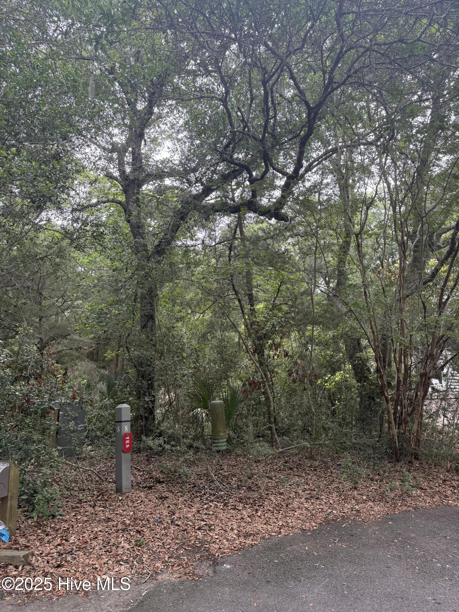 7 Creeping Cucumber Court