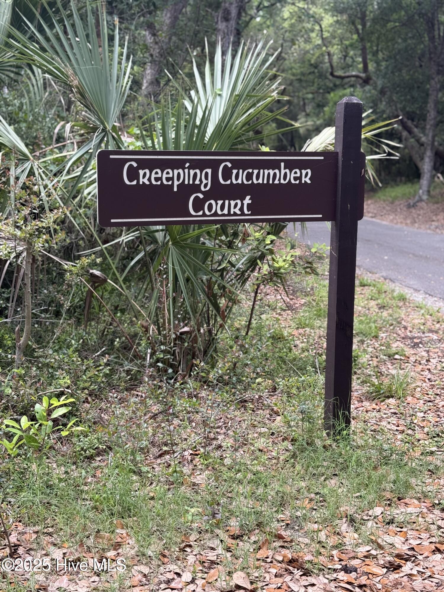 7 Creeping Cucumber Court