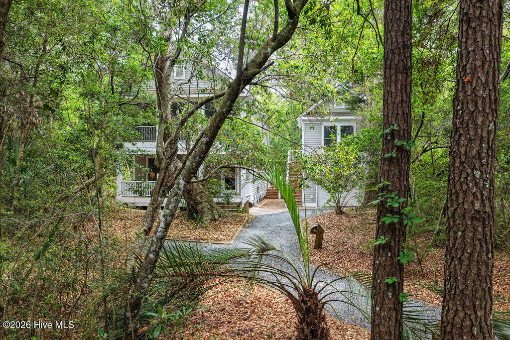 4 Poormans Pepper Trail