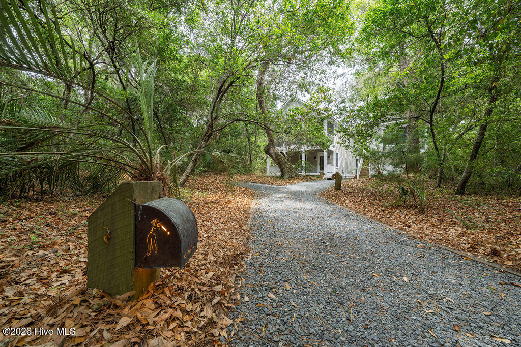 4 Poormans Pepper Trail