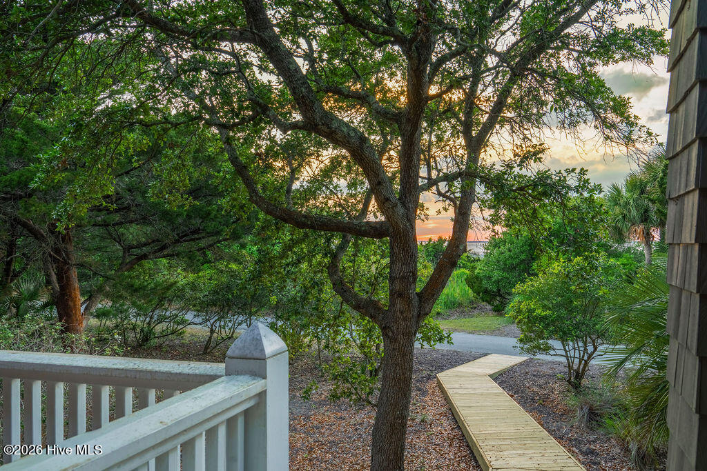 10 Green Teal Trail