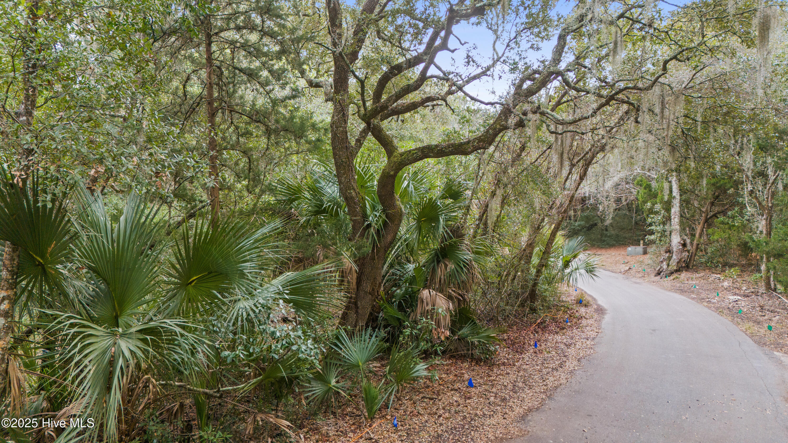 40 323 Dowitcher Trail
