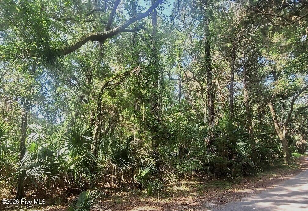 64 Dowitcher Trail