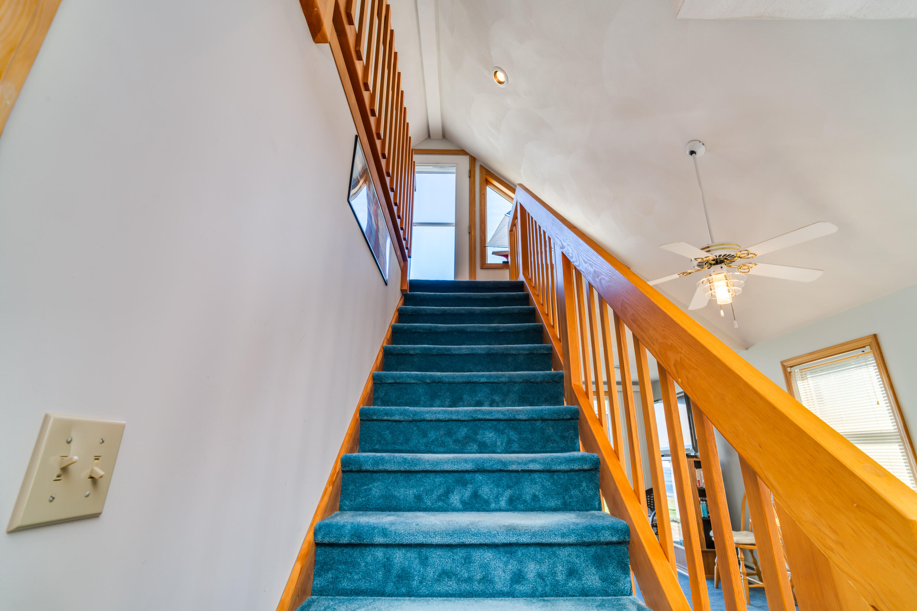 49 Freeman Street, 5