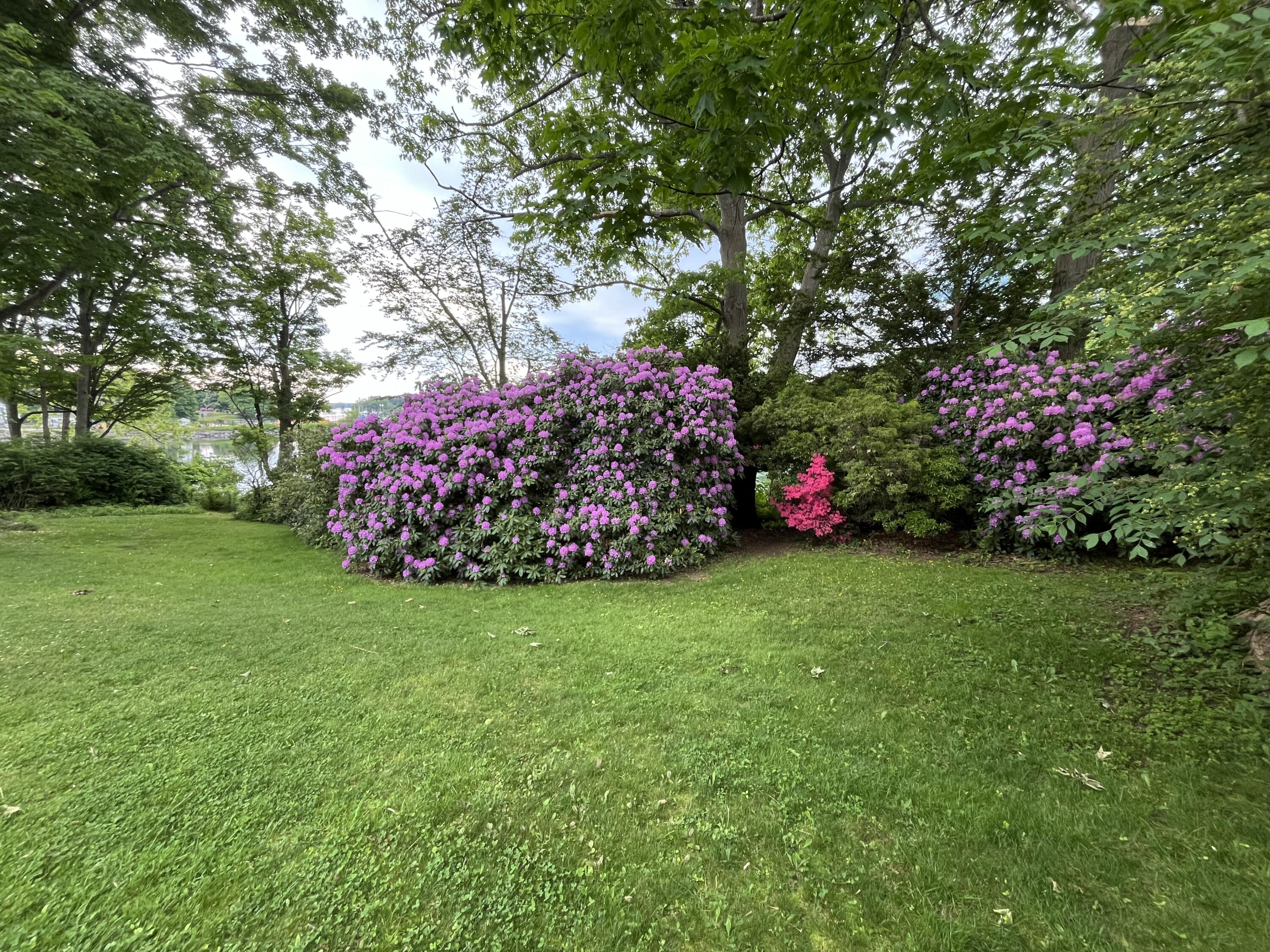 34 Williams Avenue