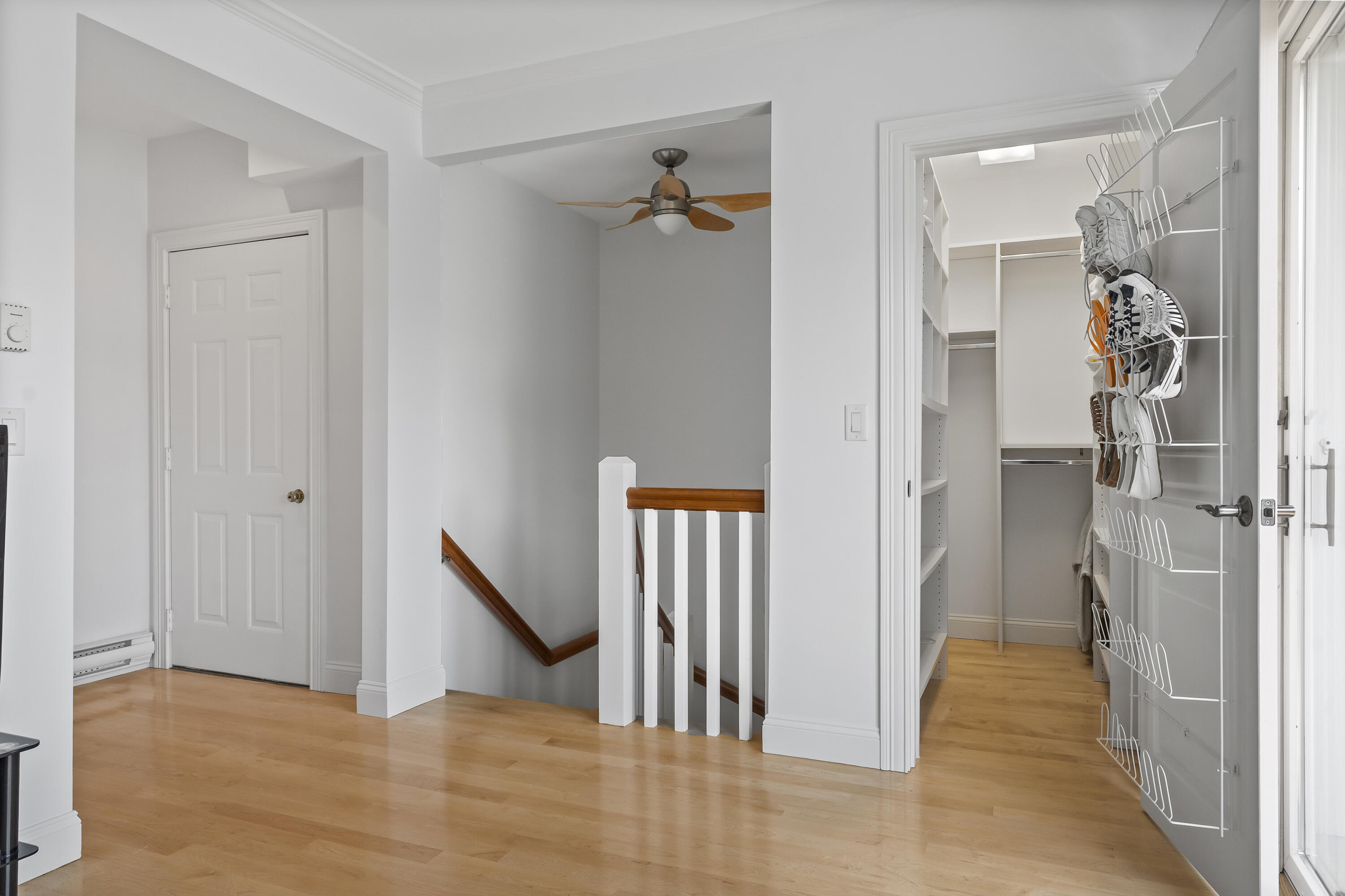 37 Freeman Street, 4