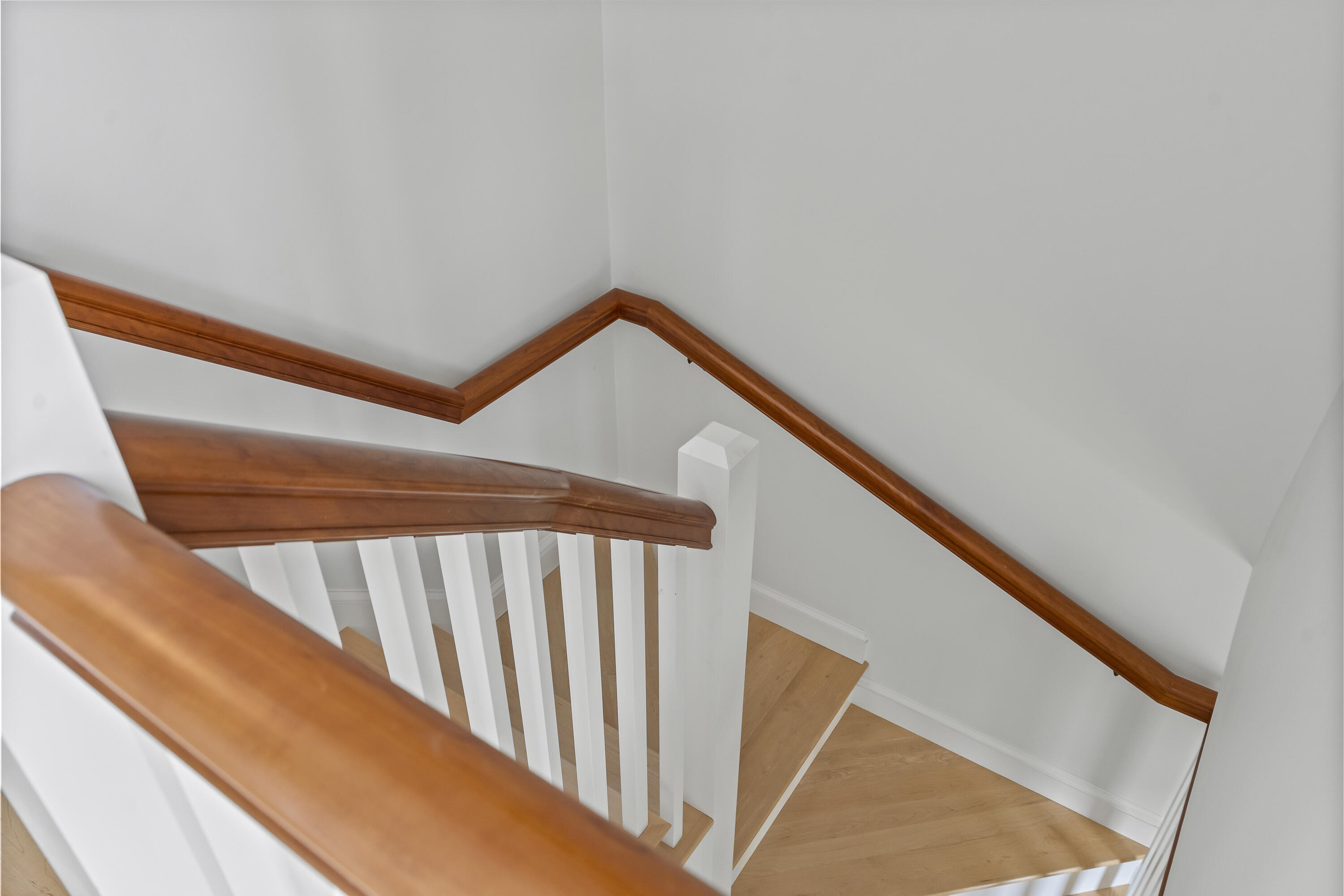 37 Freeman Street, 4