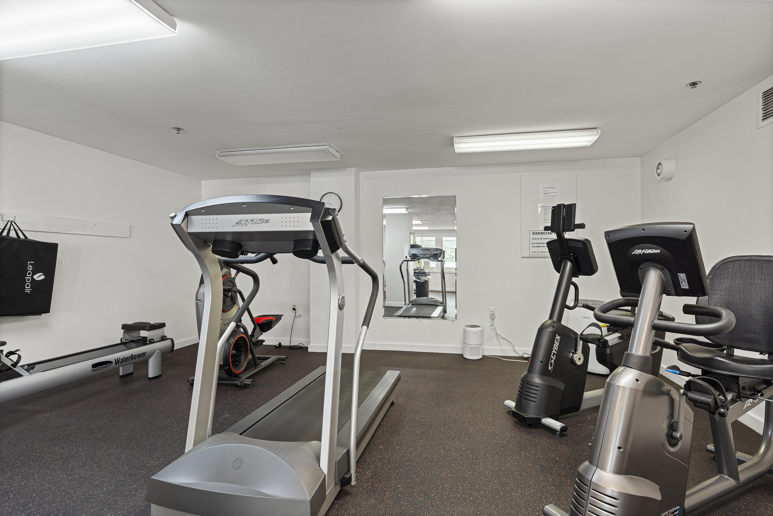 31 Ocean Avenue, 311