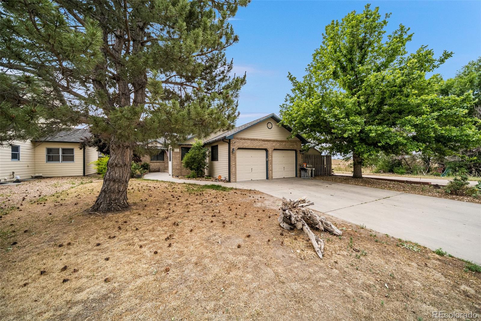 808 Ute Street