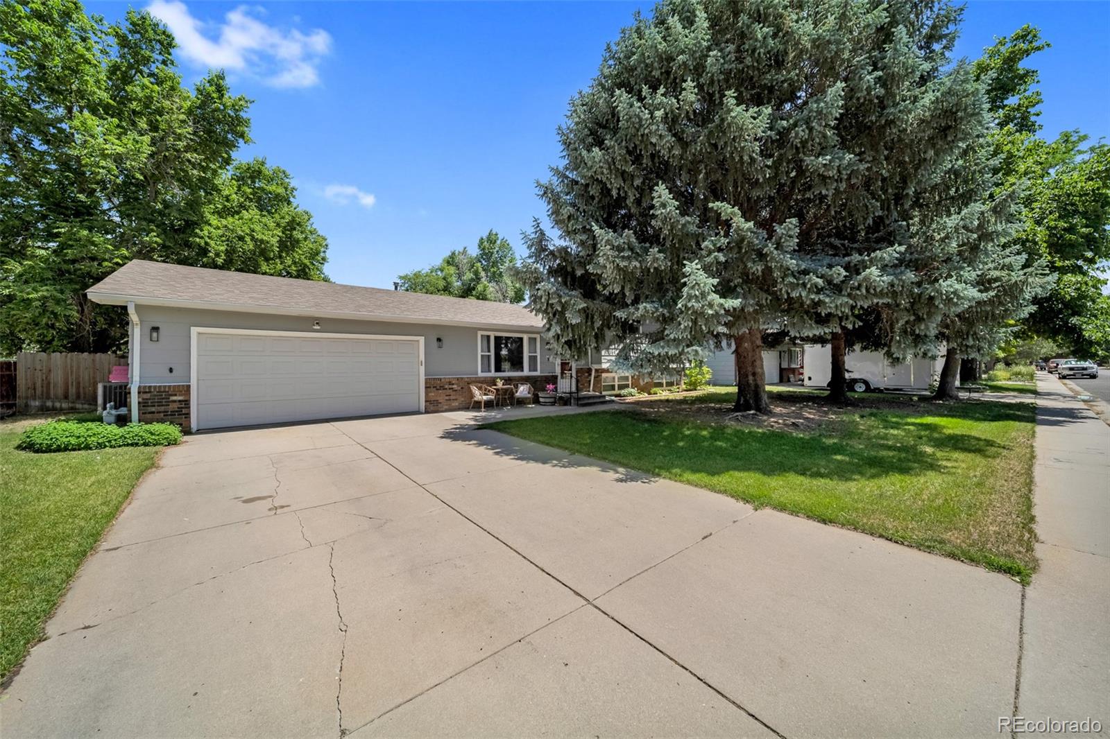 304 Dahlia Street