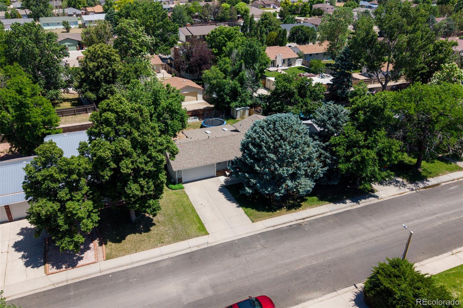 304 Dahlia Street