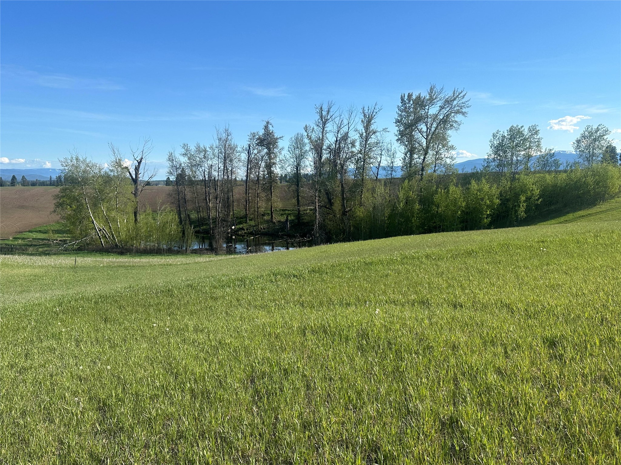 1321 Quail Ridge Drive
